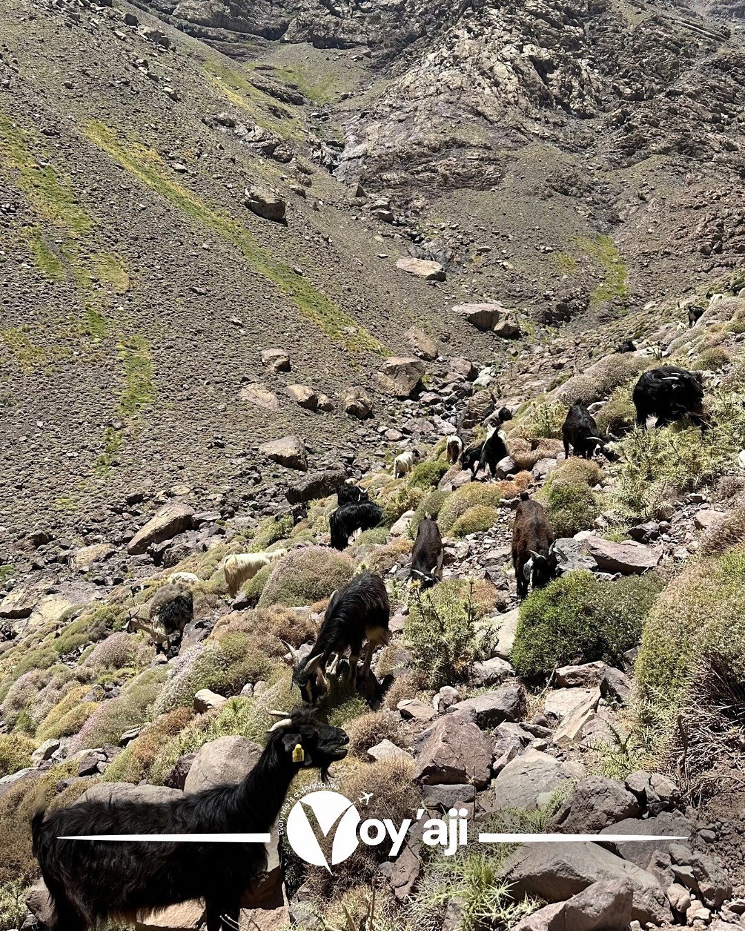 JBEL TOUBKAL